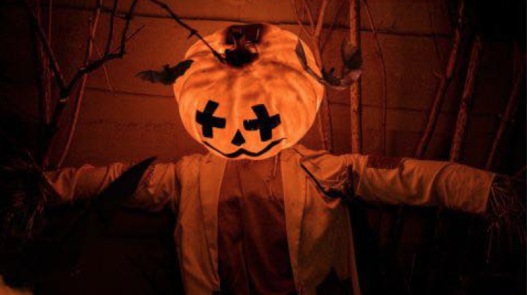 Harfsen maakt zich op voor spannende Spooktocht & gezellige Bingoavond