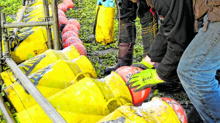 Knallend het jaar uit