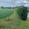 Nieuw wandelpad tussen ’t Elger en Spitholterbrug
