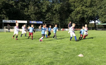 Minipups Witkampers starten seizoen met Sterren League toernooi