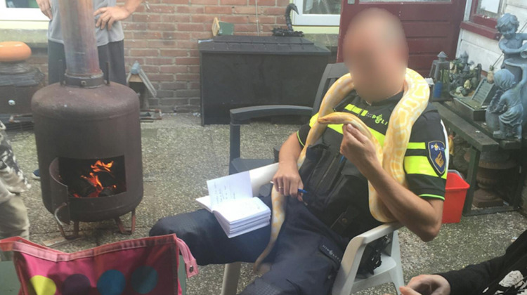 Bijzondere vraag aan politie: "Wilt u mijn slang even vasthouden?"