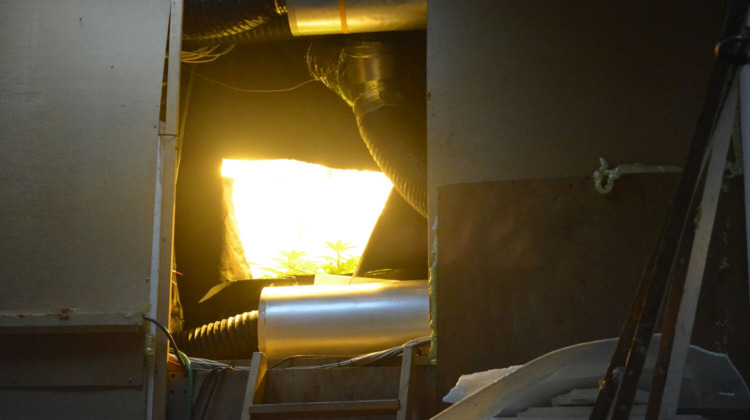 Wietplantage opgerold in Brummen