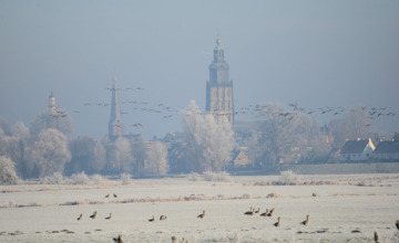 Foto's | Fotogenieke dag in de regio