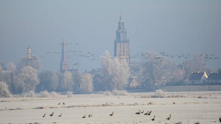 Foto's | Fotogenieke dag in de regio