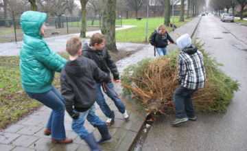 Kerstbomen inzamelen voor een zakcentje 