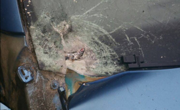 Twee auto's vernield met vuurwerk tijdens nieuwjaarsnacht