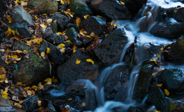 Nieuwe Wet voor Natuurbescherming sinds dit jaar