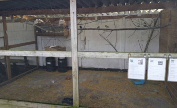 Twintig vogels vermist na inbraak kinderboerderij
