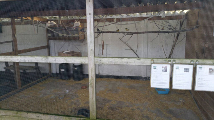Twintig vogels vermist na inbraak kinderboerderij