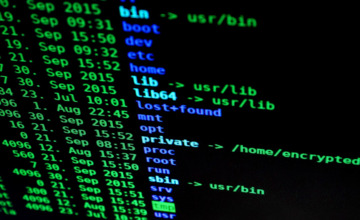123456 en qwerty populaire wachtwoorden in de regio
