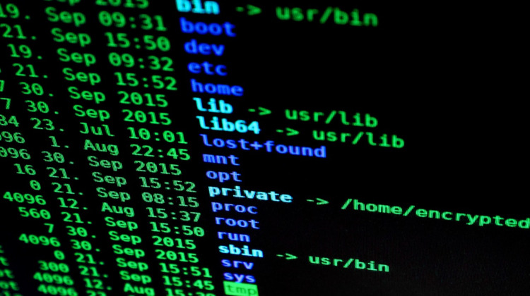 123456 en qwerty populaire wachtwoorden in de regio