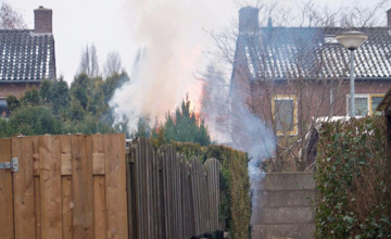 Coniferen in lichte laaien: Vermoedelijk aangestoken