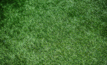FC Zutphen laat pupillen niet op kunstgras spelen