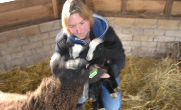 Eerste lammetjes in de regio geboren