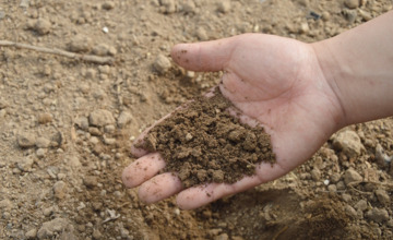 Geslaagde compost-actie in Brummen