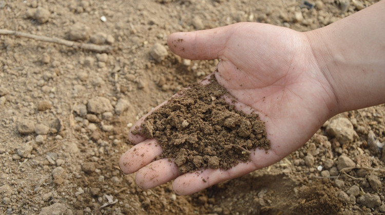 Geslaagde compost-actie in Brummen
