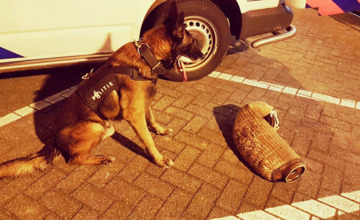 Video | Politiehond Spike leert omgaan met vuurwapens