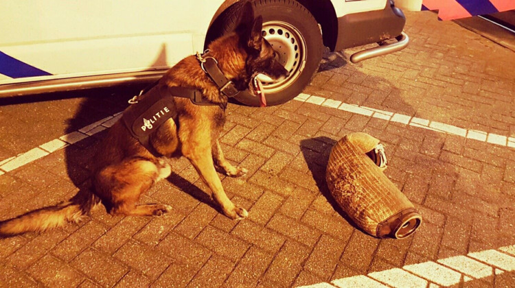 Video | Politiehond Spike leert omgaan met vuurwapens