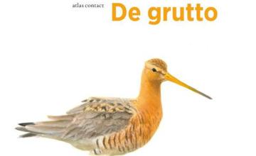 Lezing over de Grutto in Gorsselse bieb