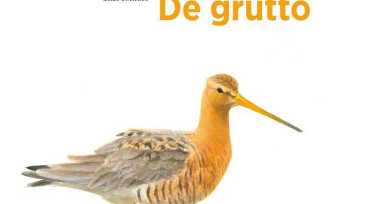 Lezing over de Grutto in Gorsselse bieb