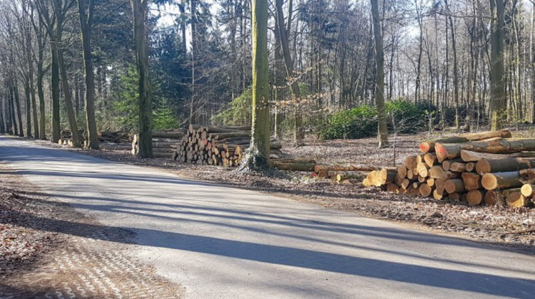 Omwonende binnenweg Almen boos over bomenkap 