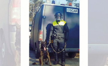 Vitesse - NEC: Eerste dienst voor Zutphense politiehond Spike