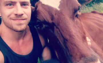 Lievelingskoe boer Joris ingeslapen dankzij nieuwe regelgeving