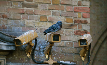 Parkmanagement reserveert 70.000 euro voor nieuwe camera's en server