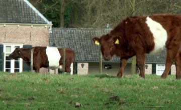 Student scoort met natuurvideo over Lochem