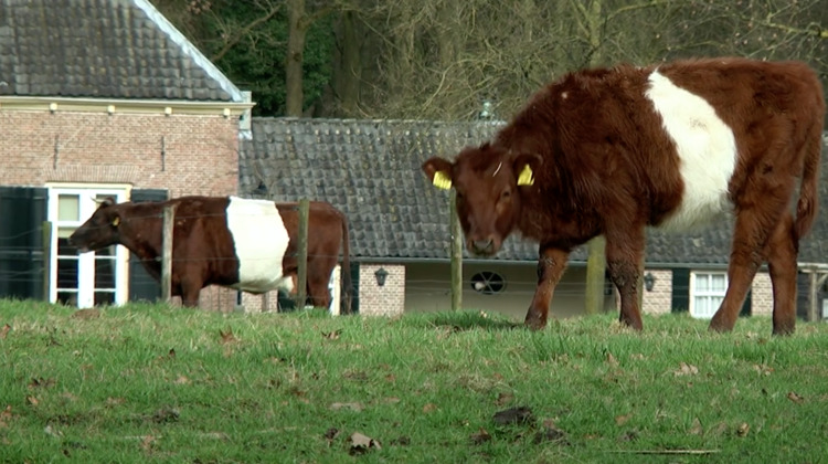 Student scoort met natuurvideo over Lochem