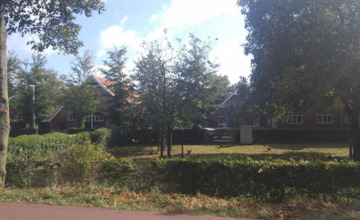 Waarschuwing voor verdwijnen landschap Bronckhorst