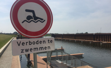 Frisse duik in Zutphense haven: Het mag niet, maar je kunt gewoon je gang gaan