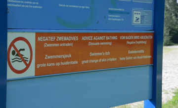 Pas op! Zwemmersjeuk in Gat van Cortenoever