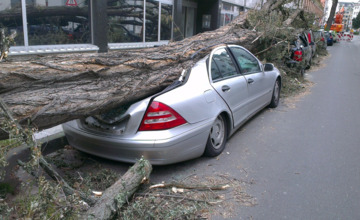 Stormschade: boom valt op auto in Hengelo