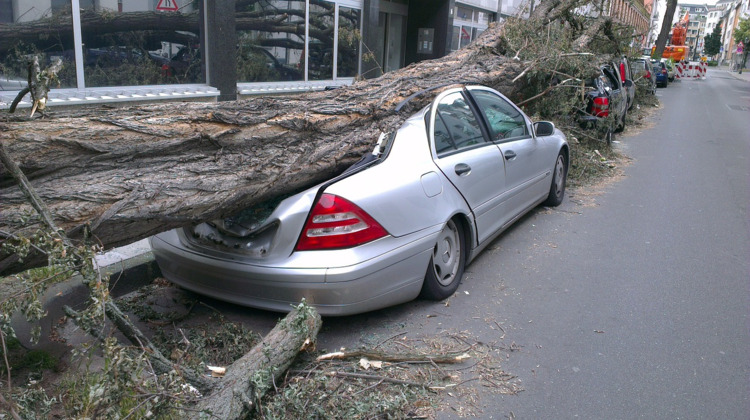 Stormschade: boom valt op auto in Hengelo