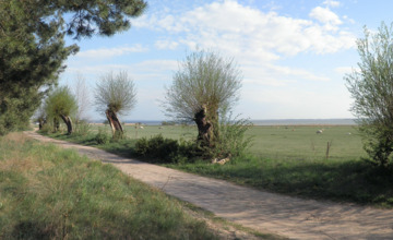Zandwegen in Brummen krijgen onderhoudsbeurt