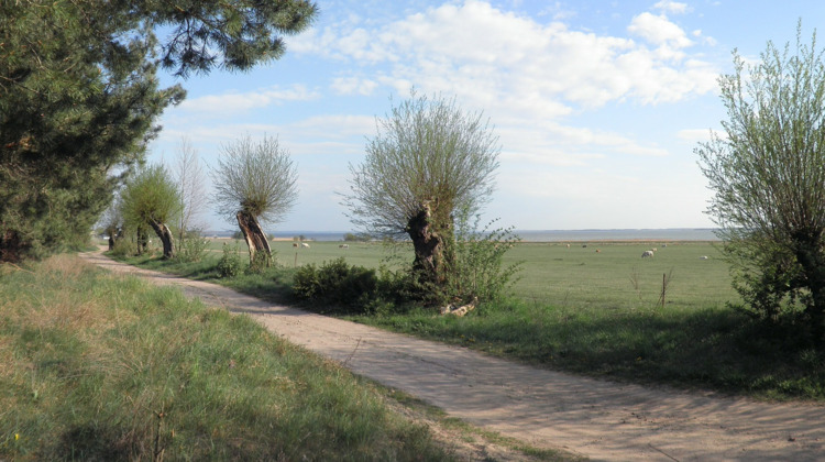 Zandwegen in Brummen krijgen onderhoudsbeurt