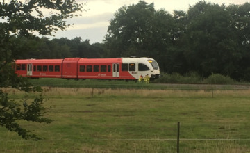 Wat voor een impact zelfmoord op het spoor heeft