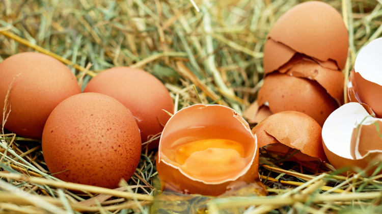NVWA waarschuwt voor eieren: check de codes
