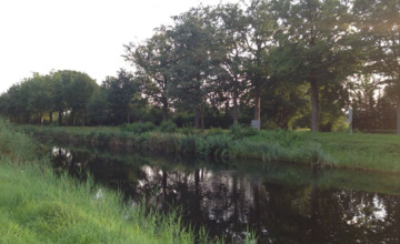 Update over kap 48 bomen langs kanaal bij Eerbeek