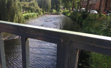 Mannen gooien dronken vriend van de brug tijdens Vrije Slag