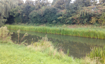 Mogelijk vergiftiging in vijver in Warnsveld
