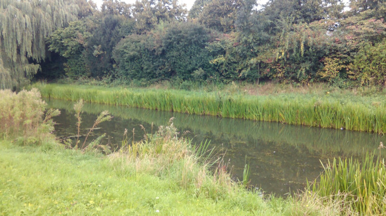 Mogelijk vergiftiging in vijver in Warnsveld