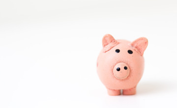 'Geef raadsleden uit de regio meer geld'