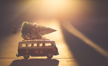 Na jaren afwezigheid komt de mega-kerstboom terug in Zutphen