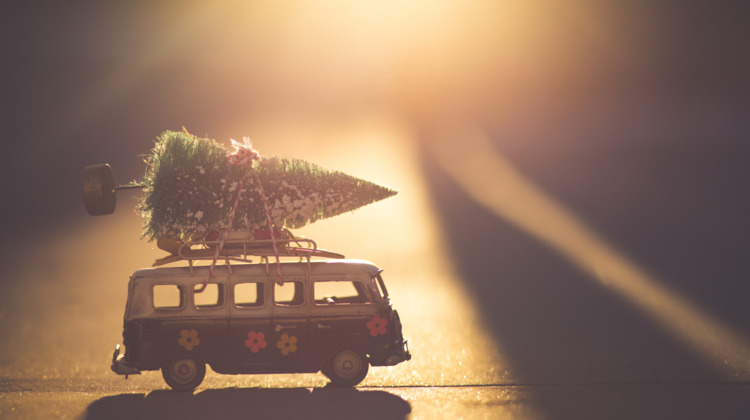 Na jaren afwezigheid komt de mega-kerstboom terug in Zutphen