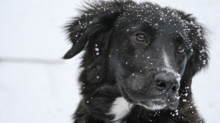 Sneeuw onderweg richting de regio
