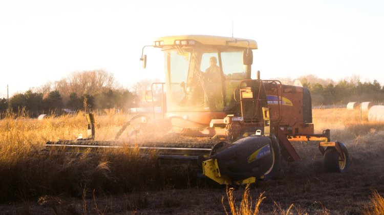 Kabinet wil 75 miljoen euro voor startende jonge boeren