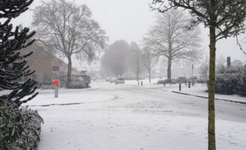 Kijk terug | Sneeuw ontregelde de zondag