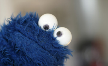Deze Zutphense politieke partijen hebben lak aan de cookiewet